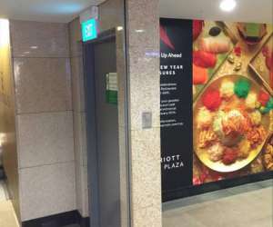 Height of ENGINEERING