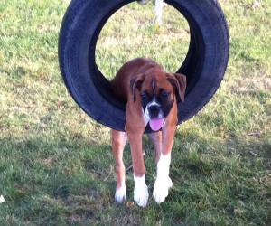 He tenido un día duro...