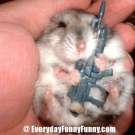 The Smallest Warrior