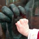 Mettez votre main dans ma main,